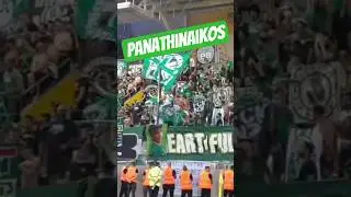 Ultras Gate 13 Panathinaikos Athens 🇬🇷