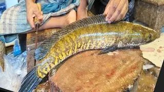 Amazing Murral Fish Cutting Skills In Bangladesh Local Fish Market By Expert Cutter