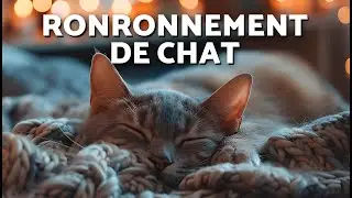BRUITS de CHATS QUI RONRONNENT 😻💤 Pour s'ENDORMIR et SE D&Eacute;TENDRE