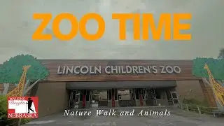 Staying #local : Lincoln Children&rsquo;s Zoo. Experience a calm nature walk and time with the animals!
