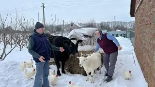 Winter life in the village