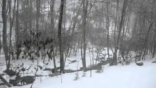 Snowing at Beech 03
