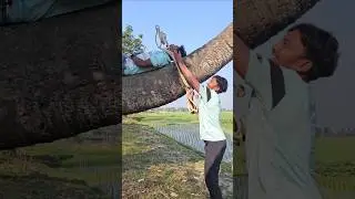#funny #reelsvideosシ 🤣