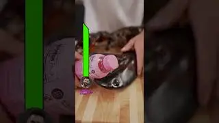 Creator Products vs Giant Lobster