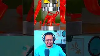 SISMA REACTION #stealabrainrot #roblox