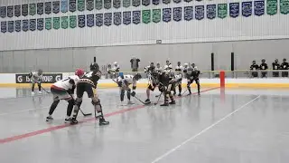(4K) Burnaby Blades vs.  Spartan Kings(6/13/25) Ball Hockey (Premier Ball Hockey League) #ballhockey