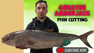 Greater Amberjack Fish Cutting Fantastic Skills | カンパチ