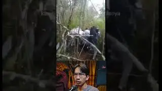 WHAT ARE THEY DOING GUYS? DOES ANYONE KNOW? #reaction #funny #memes #viral #trending