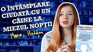 O Intamplare Ciudata cu Un Caine la Miezul Noptii de Mark Haddon - Recenzie (Spoiler Free)