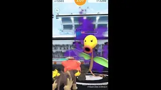 POK&Eacute;MON GO SHADOW RAID | TIER 1 | SOLO | SHADOW BELLSPROUT