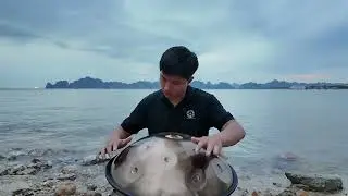 Never Stop Trying (432hz)  | 30 minutes handpan music | HANG DRUM VIETNAM by Long Percussion