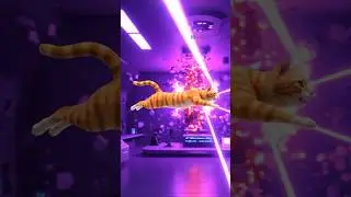 Super Cat fixes the rainbow lab! 🌈⚡ Color chaos restored! #SuperCat #ScienceForKids #STEMKids