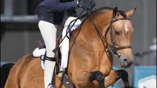 &ldquo;Orchard Hills Gone N Dun It&rdquo; M&S Finals Pony Medal round 9/14/25