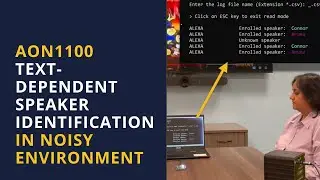 AON1100 Text-Dependent Speaker Identification in Noisy Environment