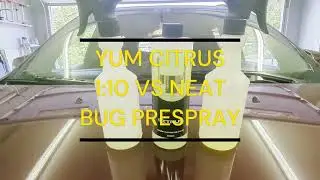 Yum Citrus 1:10 VS Neat as a bug pre-spray