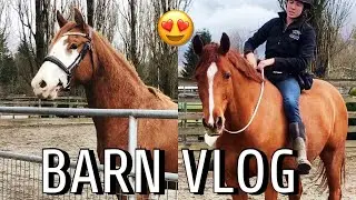 Barn Vlog| riding + what I feed my horses