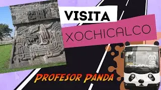 VISITANDO XOCHICALCO con el PROFESOR PANDA