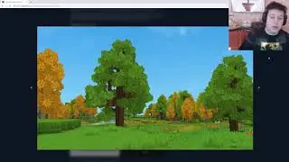 Hytale's Advanced Block Mechanics
