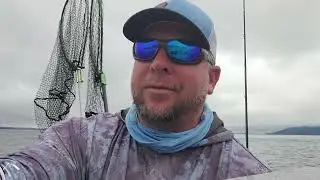 Buoy 10 Update:  8-28-25  (Wide Open Kings & Coho!)