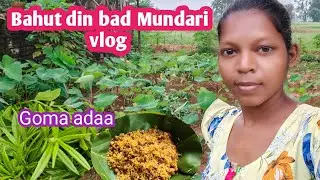 Bahut din bad Mundari vlog||Goma adaa bada sibil||Ailin Hasda