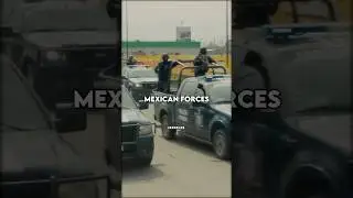 The Only BEAST Cartels FEAR!