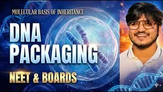 DNA Packaging Class 12 NCERT | Nucleosome Model | NEET 2026 Biology | Molecular Basis of Inheritance