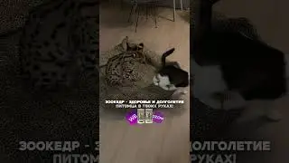 У этих троих как всегда никаких забот, никаких волнений😎