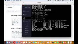 screen with serial console