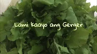 Lami kaayo ang Gerger | Fresh vegetable SOLTERA VLOG&rsquo;s