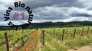 Bio, Biodynamie, nature, &ccedil;a veut dire quoi ?