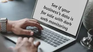 Find out if your business data is for sale with dark web monitoring