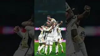Scan lazer RMCF