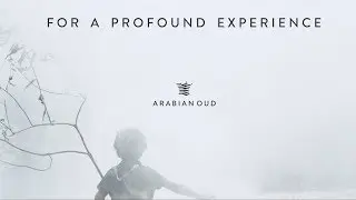Arabian Oud Experience | Fragrances That Last Long