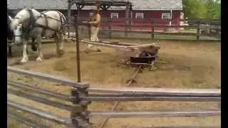 horse threshing