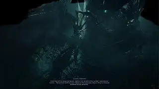 Aliens: Dark Descent :The Queen Nuclear Protocol , Pioneer Station , Story Difficulty