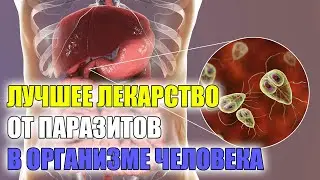 От глистов мебендазол