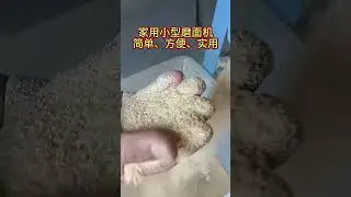 Household Mini Wheat Flour Mill