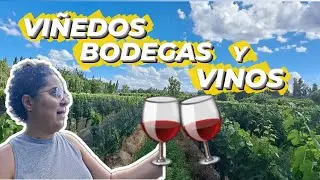 Qué bodegas son gratis en Mendoza? 🍷