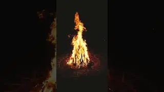 Camp fire Ambience | Jazz music for relaxation #fireplace #relaxationmusic