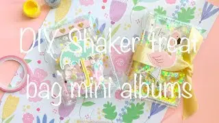 DIY Shaker Treat Bag Mini Album