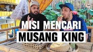 MUSANG KING TERBAIK ADA DI RAUB
