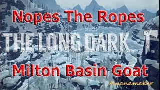 Milton Basin Alternative Goat TLD - Amanamaker