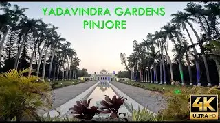 Yadavindra Gardens | Pinjore Haryana 🇮🇳 | 4K Walking Tour