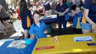 Multicultural festival in Queanbeyan Park. Как хорошо жить в Канберре