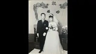 Memories of Hanna Shin