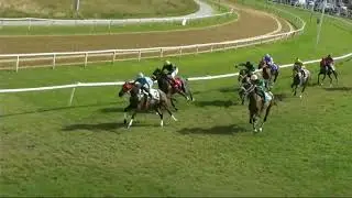 Alma Bay wins at the Boxing Day races