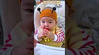 Want to Soothe Your Baby&rsquo;s Teething Pain While Adding Nutrition? Try the Baby Fruit Feeder! #baby