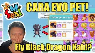 CARA EVO PET SEAL M❗ EVOLUSI BABY BLACK DRAGON SEAL M❗ SEMOGA JADI FLY BLACK DRAGON🔥