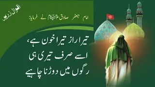 Best Islamic Quotes | Best Urdu Quotes | Top Imam Shafi Quotes | Famous Imam Jaffar Quotes