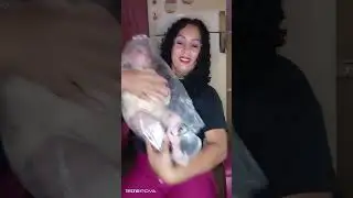Apresentando meus dois bebês gêmeos que eu ganhei de presente dos dias das mães 
